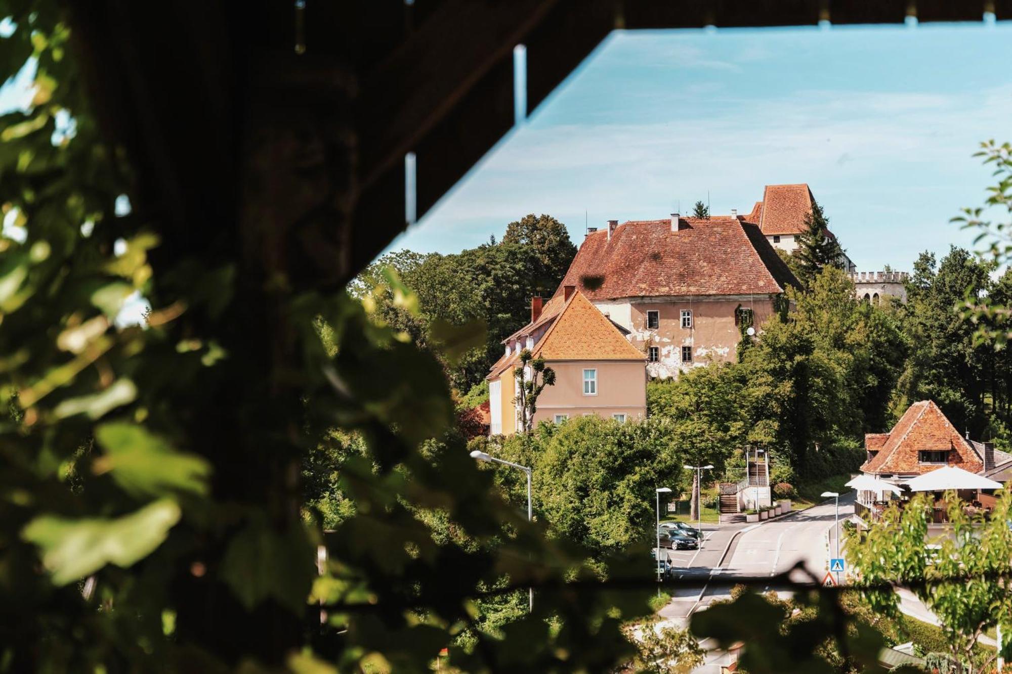Ferienwohnungen Karin Am Seggauberg Leibnitz Luaran gambar